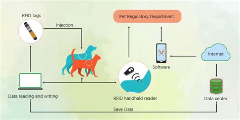 rfid pet tag|rfid based animal identification system.